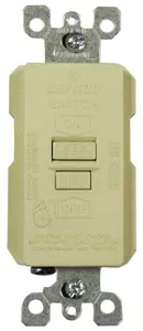 024-80021-00 RTI GFCI Module (110 Volt Units Only)