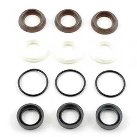 KIT 2189 WATER SEALS RSV by AR PUMPS (6306)