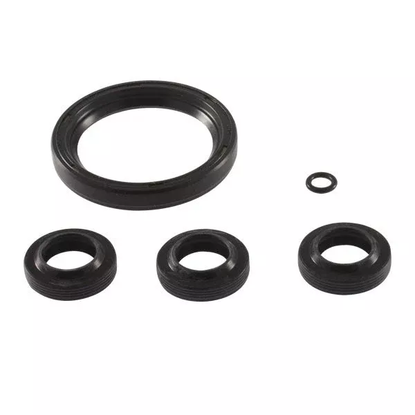 KIT 2797 OIL SEAL XJ SJ by AR PUMPS (6060)